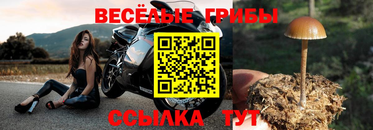 Кимовск  Галлюциногенные грибы Magic Shrooms  сколько стоит  Галлюциногенные грибы ЛСД  Вход с VPN 